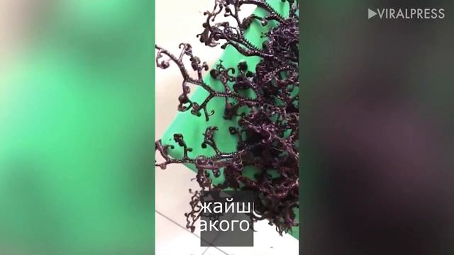 Во Вьетнаме поймали загадочное морское животное смотреть онлайн