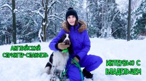 Английский спрингер-спаниель интервью с владельцем