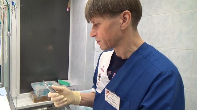 Коррекция зубов у кролика/Correction of teeth in rabbit смотреть онлайн