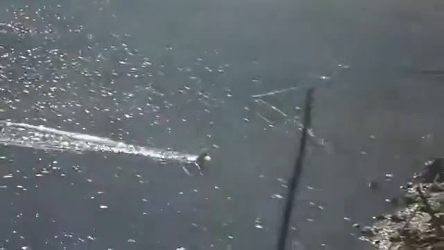 Ловля леща смотреть онлайн