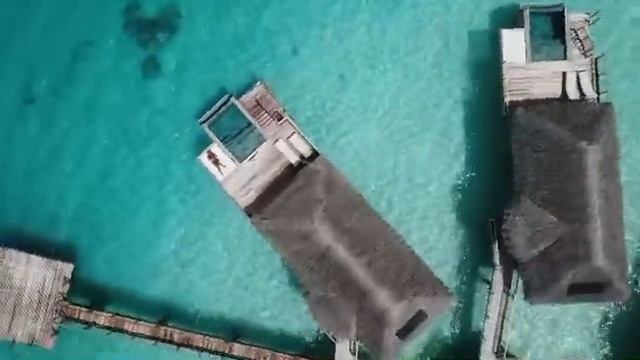 Remodeled overwater pool villa Bora Bora Pearl beach смотреть онлайн