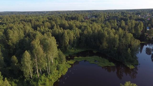 Ozernoe, Leningrad region (Fimi X8 SE footage) смотреть онлайн