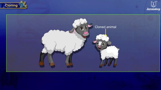 What Is Cloning? | Cloning Explained | Reproduction | Science