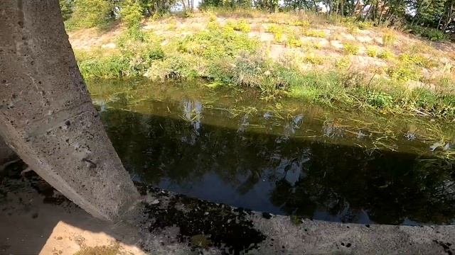 Супер рыбалка с рогаткой Голавль Язь смотреть онлайн