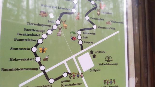 👣👩👧👧Лесной детский сад.🇩🇪Германия.🇩🇪 Lampertheim.🌻🌲🌳Hessen.🏞️