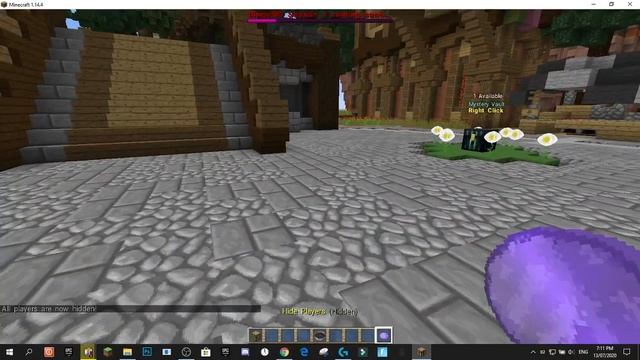 Hide Item Minecraft Plugin Tutorial | Hide and Show other players on your server смотреть онлайн