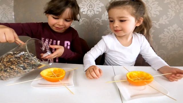 Кормушка для Птиц своими руками DIY Кормушка из Апельсина Делаем Кормушки с Детьми Самоделки смотреть онлайн