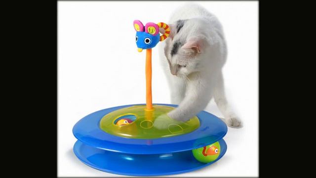 игрушки пет шоп кошки смотреть онлайн