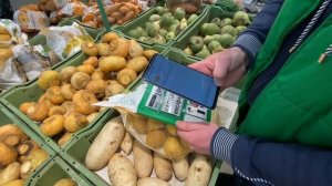 СБОРЩИК / СБЕРМАРКЕТ / СКОЛЬКО МОЖНО ЗАРАБОТАТЬ?