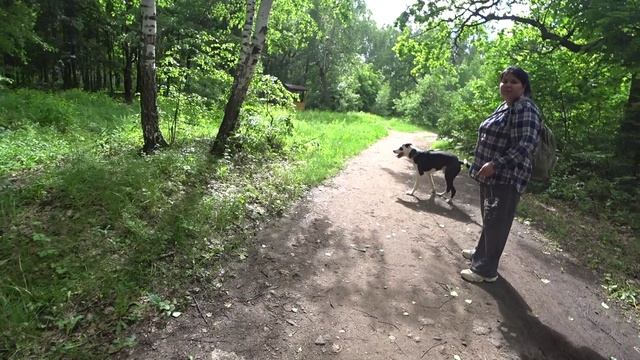 КУМЫСНАЯ ПОЛЯНА \ САРАТОВ смотреть онлайн