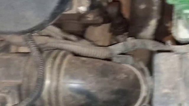 Fiat: стиль и мода на дорогам