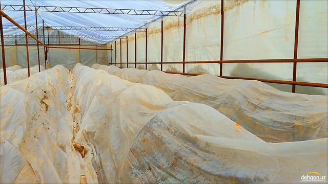 Бодринг экяпмиз. Иситиш тизимида муаммо чиқди смотреть онлайн