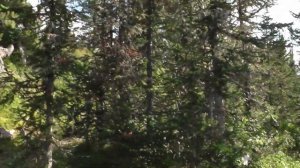 Путешествие к истоку Енисея. 2022