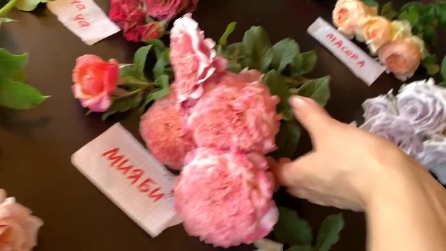 Коллекция Японских Роз в одном обзоре, питомник Maryroses.ru