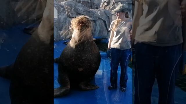 Ижевск зоопарк смотреть онлайн