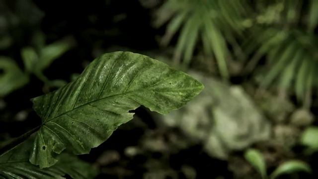 Crysis 3 - CryEngine3 Tech Trailer смотреть онлайн