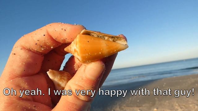 Great day of shelling on Captiva! Early morning beachcombing for shells at low tide смотреть онлайн