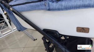 Коляска Adamex Amelia 3 в 1 (Адамекс Амелиа)