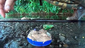 Подводные съемки поклевок на_ поплавок, донку, снасть _Пробка_, Макушатник, Фидер, Убийца карася