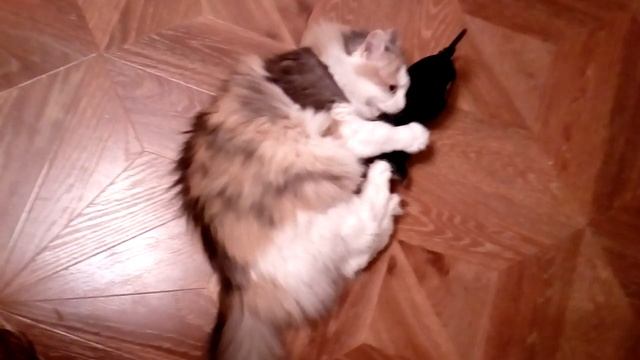 Алиса и Беззубик с мятой смотреть онлайн