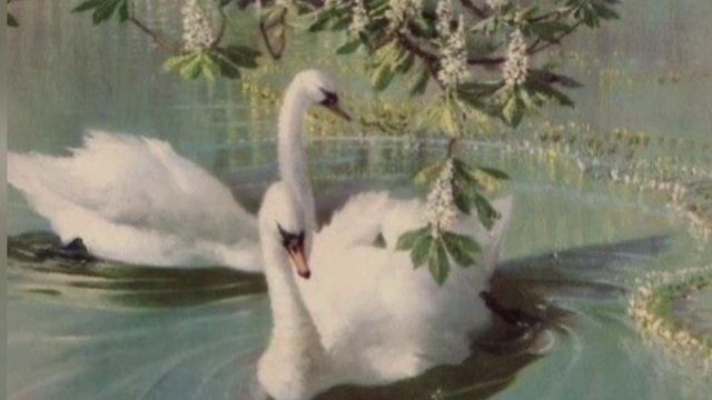 Мұқағали Мақатаев -《Аққулар ұйықтағанда 》 қысқаша мазмұндама