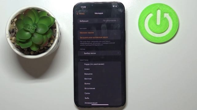 Как изменить рингтон будильника на iPhone 13 Pro Max смотреть онлайн