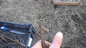 Ловля птиц на тайник  Все что я беру на ловлю