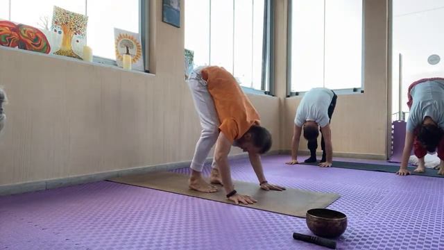 Капалабхати-уддияна-агни сара. Йога флоу. Безопасная работа с позвоночником. Гибкость и здоровье. смотреть онлайн