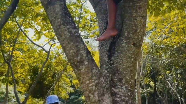 O CHEFINHO TOMOU uma PICADA de ABELHA na BOCA e FICOU MUITO INCHADO ** não é click baite ** смотреть онлайн