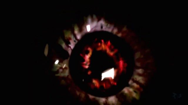 Resident Evil - Survivor (2WEI & Edda Hayes)