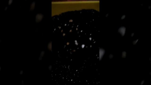 Размножение секулентов из семейства Эчеверия смотреть онлайн