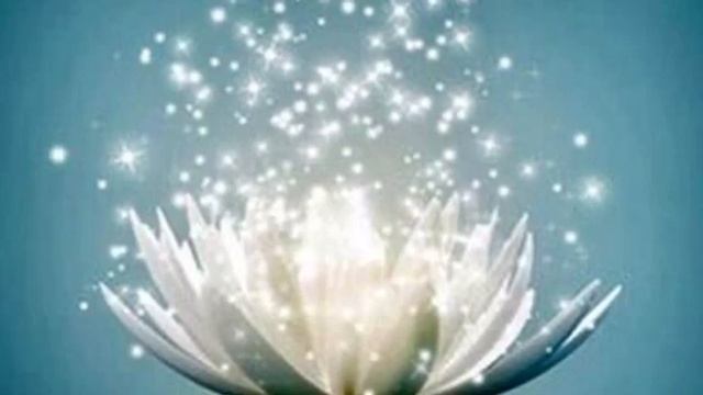 Медитация «БЕЛЫЙ ЛОТОС»