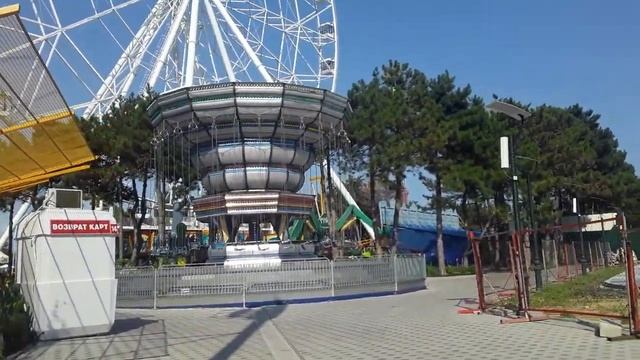 Анапа. Небольшая прогулка. Семья лебедей.