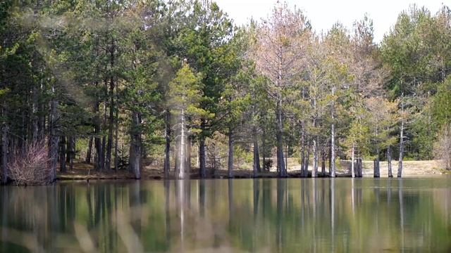 ALBANIE I Tour d'Europe En Van #3 смотреть онлайн