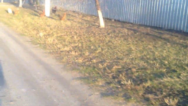 индокачки смотреть онлайн