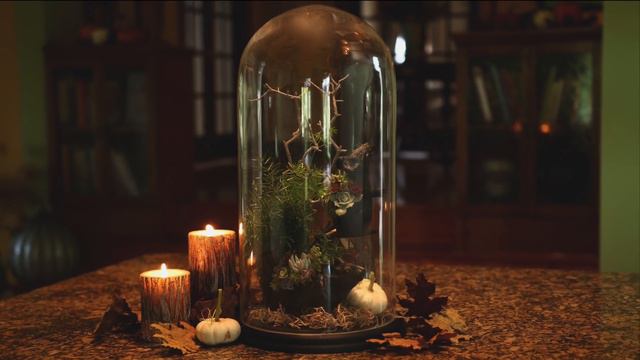 Rats + Succulents??? Halloween Centerpiece // Garden Answer смотреть онлайн