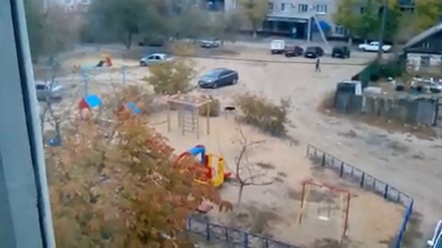 Бездомные собаки которых не отлавливают и которые кусают людей. смотреть онлайн