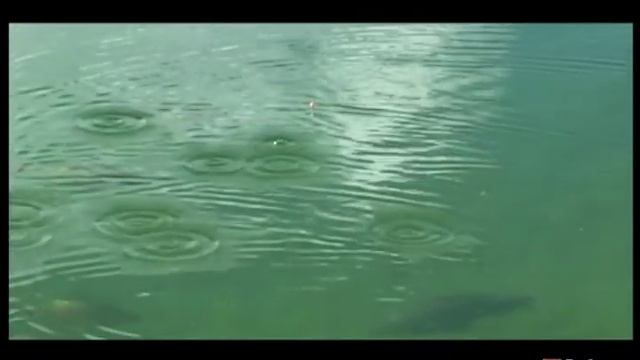 Английская рыболовная школа. Сюжет 1. смотреть онлайн