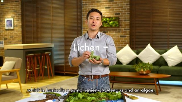 #KeppelLandFolks: DIY Moss Art смотреть онлайн