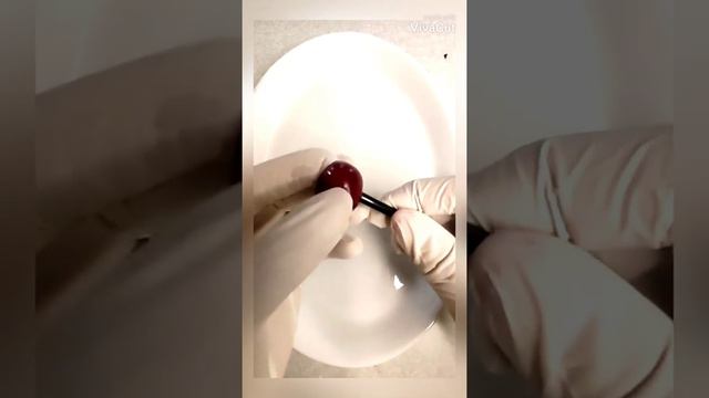 Как избавиться от косточки вишни,черешни.Это так просто и гениально☺️Спасибо кто придумал🤦♀️🤣 смотреть онлайн