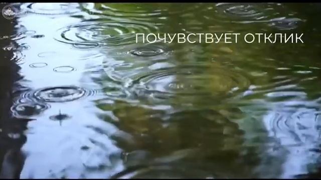 Я выбираю любовь! Поделитесь этим сообщением ? смотреть онлайн