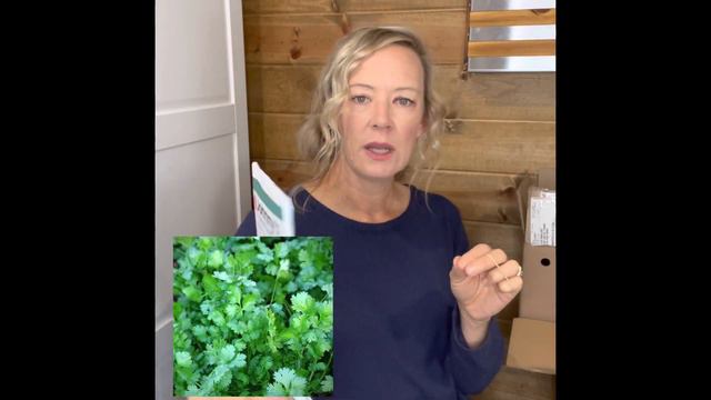 Seed Haul!! WHAT WE’RE GROWING ON OUR FLOWER FARM IN 2022 | Seed Unboxing