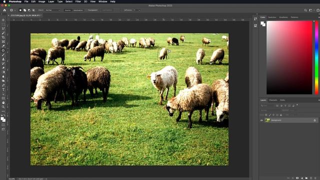 Photoshop Patch Tool Tutorial | Remove Objects with patch Tool in photoshop смотреть онлайн