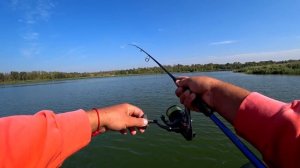 Обзор - сравнение воблеров Jackall Rerange и TsuYoki COLECTOR!