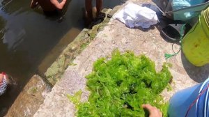 Лучшие пляжи Занзибара - Нунгви и Кендва. Какой лучше?