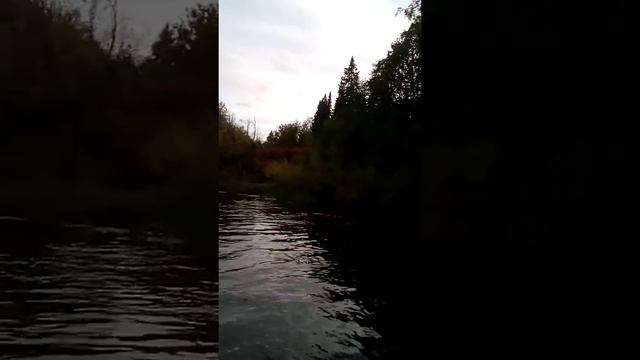 Поездка по речке Сёмжа смотреть онлайн