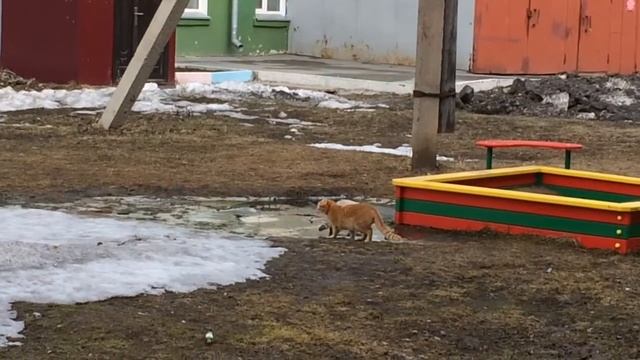 Я знаю где водятся караси смотреть онлайн