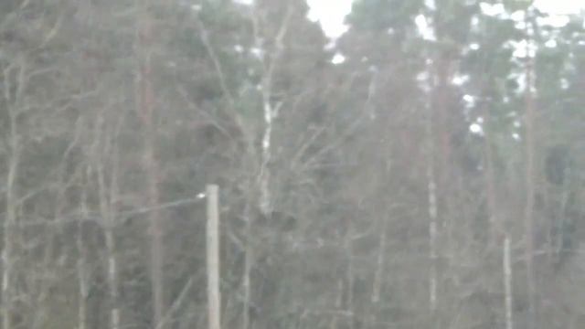 ?❄Вот и в Санкт-Петербурге выпал первый снег!- 06.11.2022❄? смотреть онлайн
