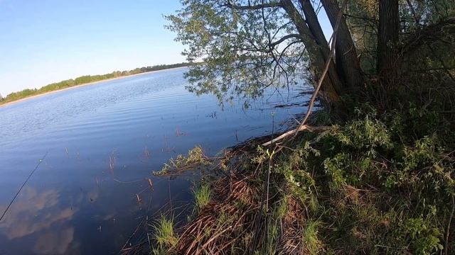 Ловля на фидер. Волга, весна 2020. смотреть онлайн