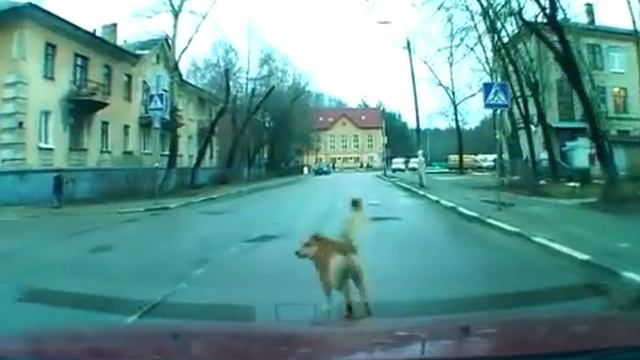 Новый метод ограничения скорости в населенных пунктах смотреть онлайн